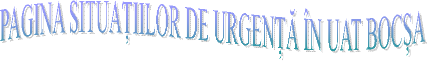 PAGINA SITUAȚIILOR DE URGENȚĂ &Icirc;N UAT BOCȘA