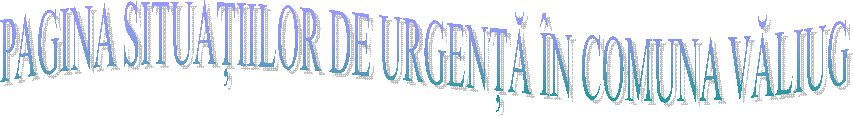 PAGINA SITUAȚIILOR DE URGENȚĂ &Icirc;N COMUNA VĂLIUG