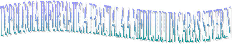 TOPOLOGIA INFORMATICA FRACTALA A MEDIULUI IN CARAS SEVERIN