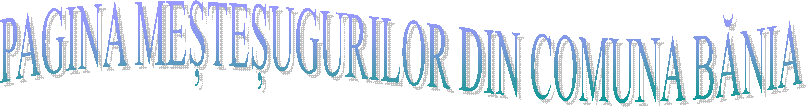 PAGINA MEȘTEȘUGURILOR DIN COMUNA BĂNIA