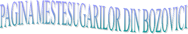 PAGINA MESTESUGARILOR DIN BOZOVICI