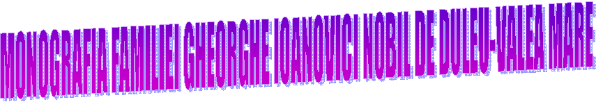 MONOGRAFIA FAMILIEI GHEORGHE IOANOVICI NOBIL DE DULEU-VALEA MARE