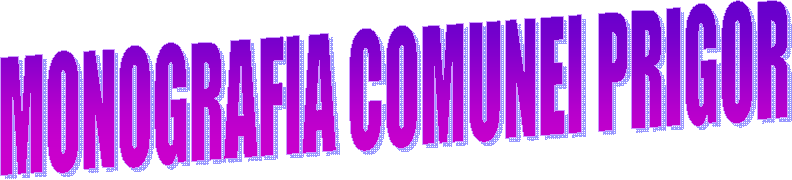 MONOGRAFIA COMUNEI PRIGOR
