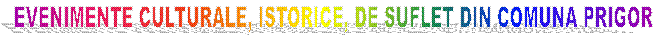 EVENIMENTE CULTURALE, ISTORICE, DE SUFLET DIN COMUNA PRIGOR