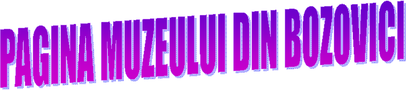 PAGINA MUZEULUI DIN BOZOVICI
