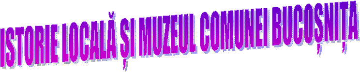 ISTORIE LOCALĂ ȘI MUZEUL COMUNEI BUCOȘNIȚA