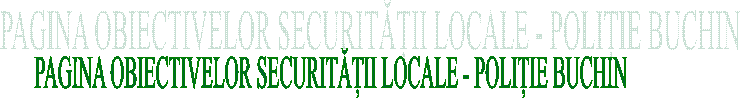 PAGINA OBIECTIVELOR SECURITĂȚII LOCALE - POLIȚIE BUCHIN