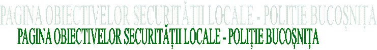 PAGINA OBIECTIVELOR SECURITĂȚII LOCALE - POLIȚIE BUCOȘNIȚA
