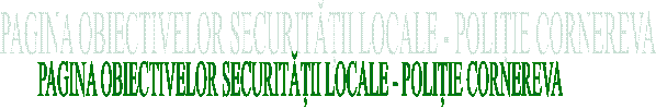PAGINA OBIECTIVELOR SECURITĂȚII LOCALE - POLIȚIE CORNEREVA