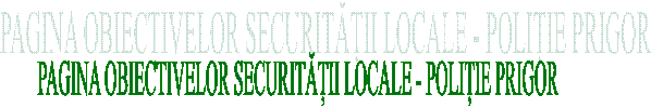 PAGINA OBIECTIVELOR SECURITĂȚII LOCALE - POLIȚIE PRIGOR