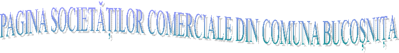 PAGINA SOCIETĂȚILOR COMERCIALE DIN COMUNA BUCOȘNIȚA