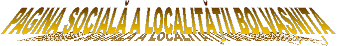 PAGINA SOCIALĂ A LOCALITĂŢII BOLVAȘNIȚA