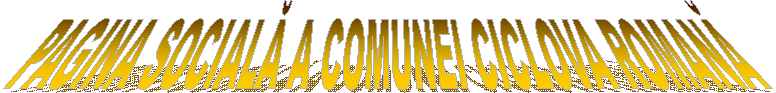 PAGINA SOCIALĂ A COMUNEI CICLOVA ROMANĂ