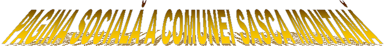 PAGINA SOCIALĂ A COMUNEI SASCA MONTANĂ