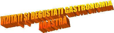 VIZITAȚI ȘI DEGUSTAȚI GASTRONOMIA
NOASTRĂ