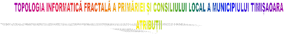 TOPOLOGIA INFORMATICĂ FRACTALĂ A PRIMĂRIEI ȘI CONSILIULUI LOCAL A MUNICIPIULUI TIMIȘAOARA
ATRIBUȚII