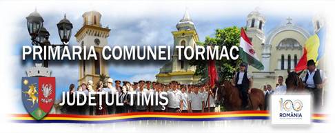 Primăria comunei Tormac