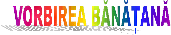 VORBIREA BĂNĂȚANĂ