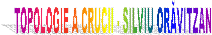 TOPOLOGIE A CRUCII - SILVIU ORĂVITZAN