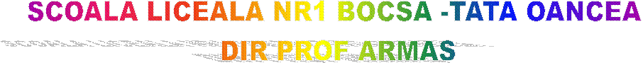 SCOALA LICEALA NR1 BOCSA -TATA OANCEA 
DIR PROF ARMAS