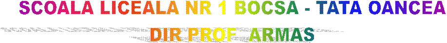 SCOALA LICEALA NR 1 BOCSA - TATA OANCEA
DIR PROF  ARMAS