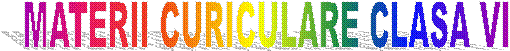 MATERII CURICULARE CLASA VI